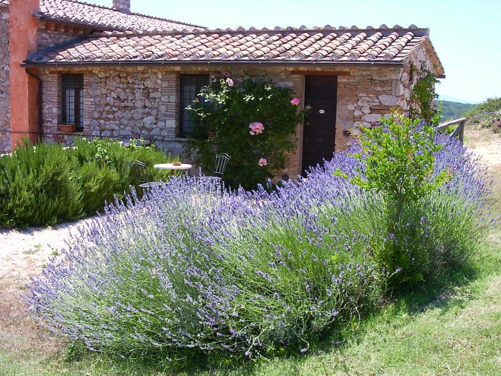 Podere Costa Romana Narni Exteriér fotografie